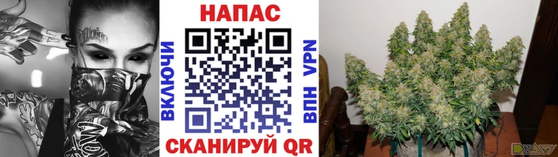 Купить наркоту Димитровград Cocaine  Меф мяу мяу  Амфетамин  СОЛЬ  Марихуана  ОМГ ОМГ рабочий сайт  ГАШИШ 