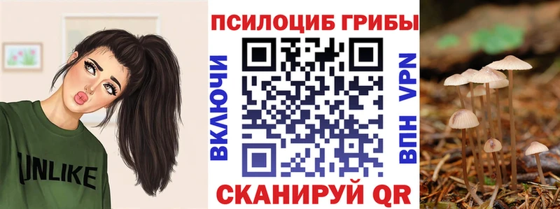 Псилоцибиновые грибы мухоморы  Димитровград 